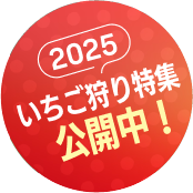 2025年 いちご狩り特集 公開中！