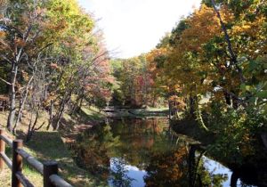 八坂公園の写真