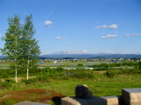 5. 比布大雪PAから望む大雪山②